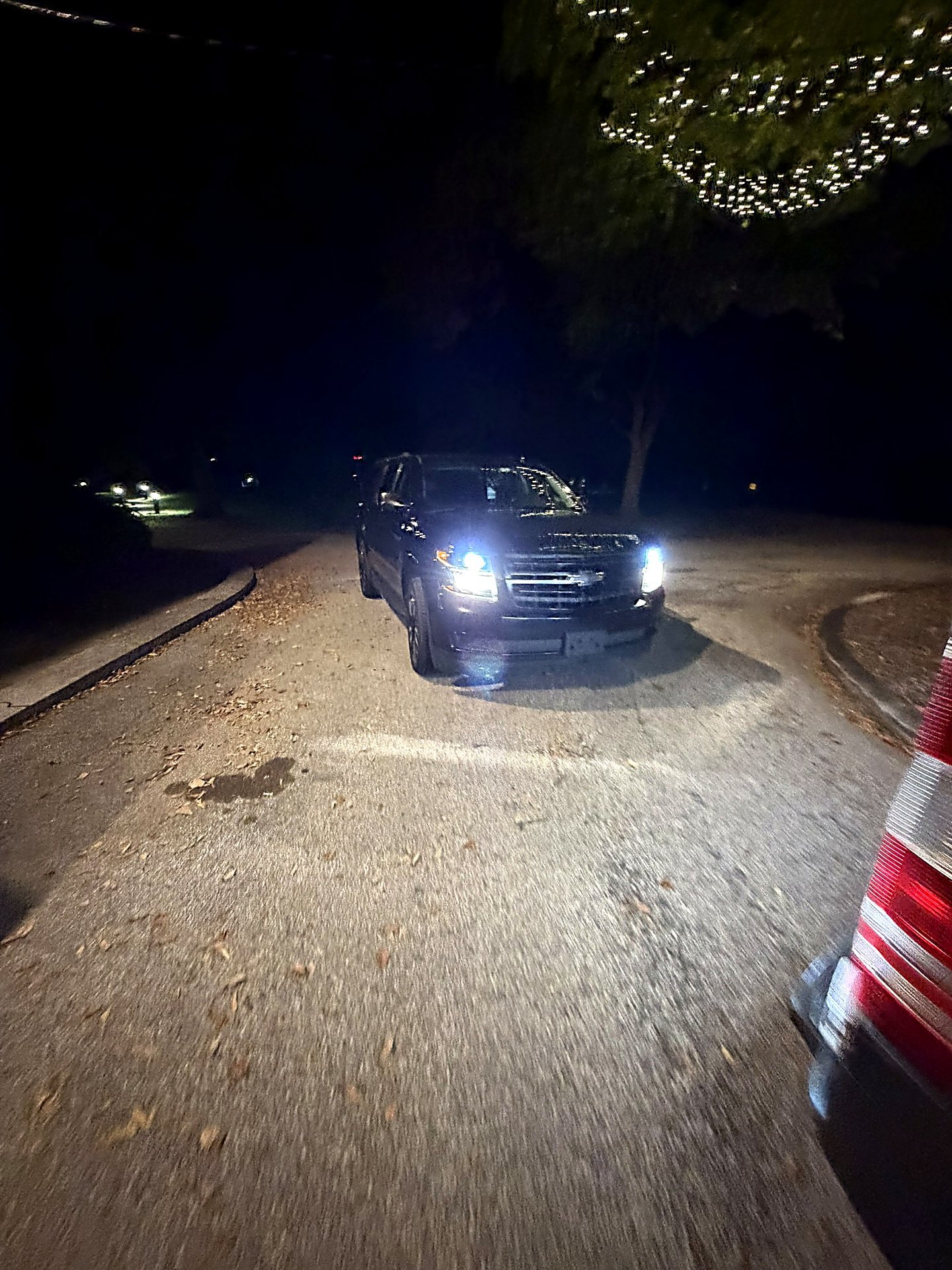 Black SUV driving on a road at night under trees with string lights